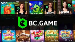 Explore the Best BC Game Slots in India
